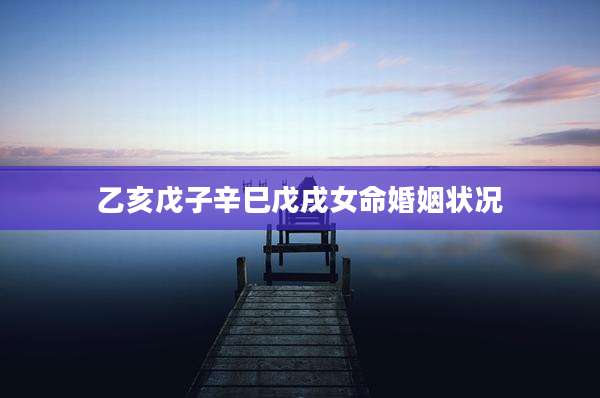 乙亥戊子辛巳戊戌女命婚姻状况
