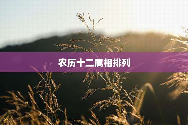 农历十二属相排列