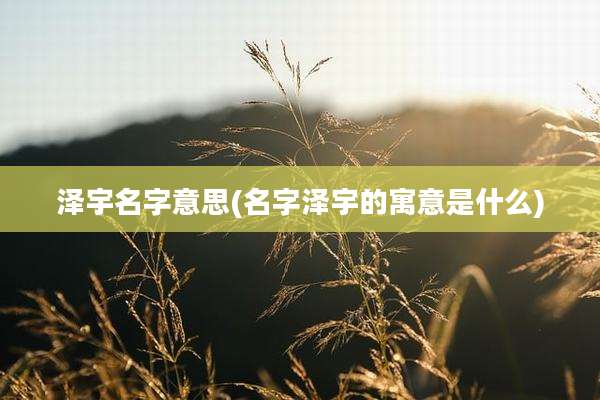 泽宇名字意思(名字泽宇的寓意是什么)