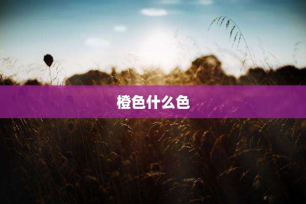 橙色什么色
