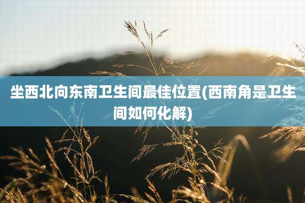 坐西北向东南卫生间最佳位置(西南角是卫生间如何化解)