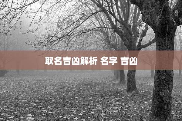 取名吉凶解析 名字 吉凶
