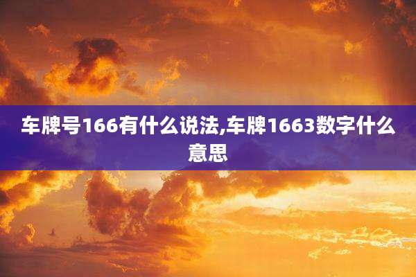 车牌号166有什么说法,车牌1663数字什么意思