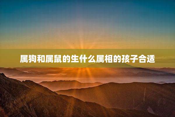 属狗和属鼠的生什么属相的孩子合适