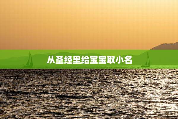 从圣经里给宝宝取小名