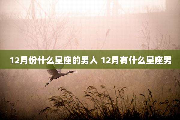 12月份什么星座的男人 12月有什么星座男