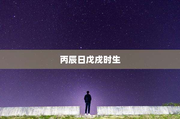 丙辰日戊戌时生