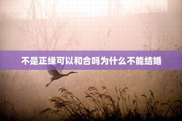 不是正缘可以和合吗为什么不能结婚