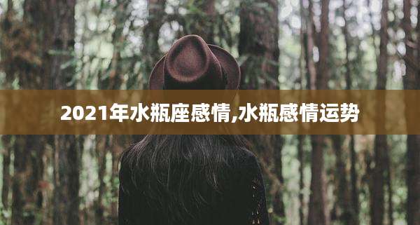 2021年水瓶座感情,水瓶感情运势