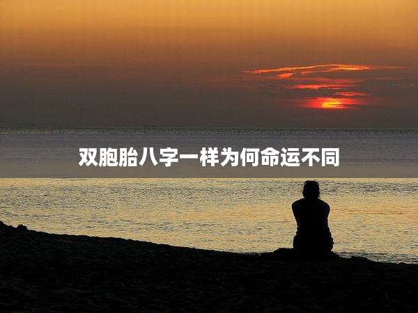 双胞胎八字一样为何命运不同