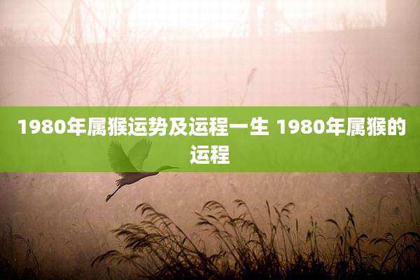 1980年属猴运势及运程一生 1980年属猴的运程
