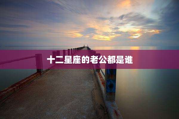 十二星座的老公都是谁