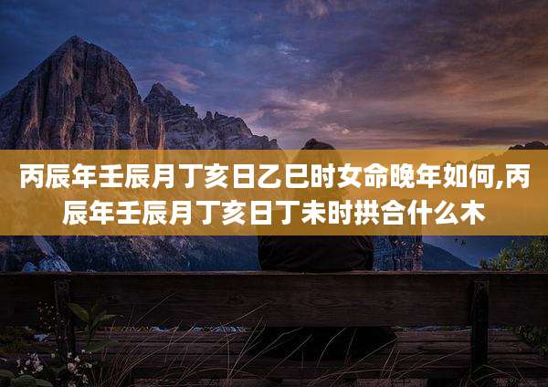 丙辰年壬辰月丁亥日乙巳时女命晚年如何,丙辰年壬辰月丁亥日丁未时拱合什么木