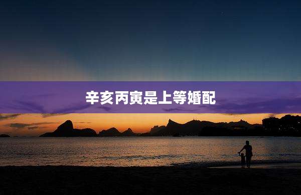 辛亥丙寅是上等婚配