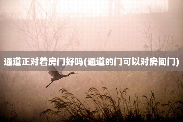 通道正对着房门好吗(通道的门可以对房间门)