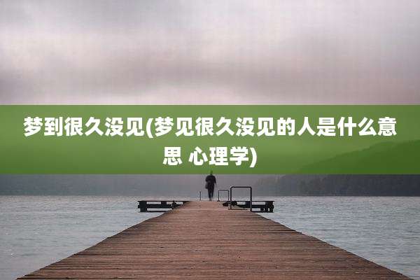 梦到很久没见(梦见很久没见的人是什么意思 心理学)