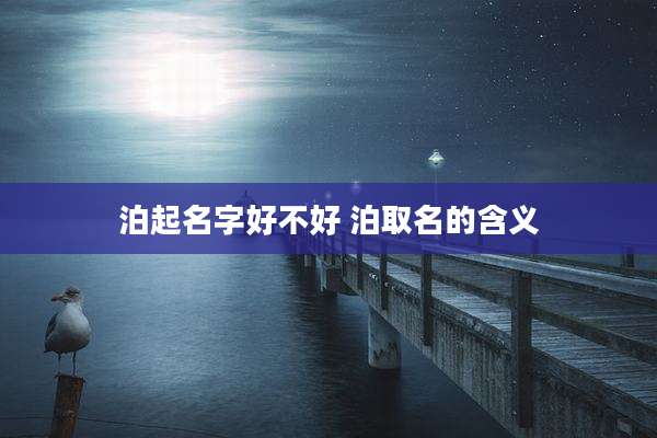 泊起名字好不好 泊取名的含义