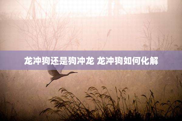 龙冲狗还是狗冲龙 龙冲狗如何化解