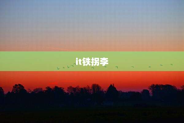 it铁拐李