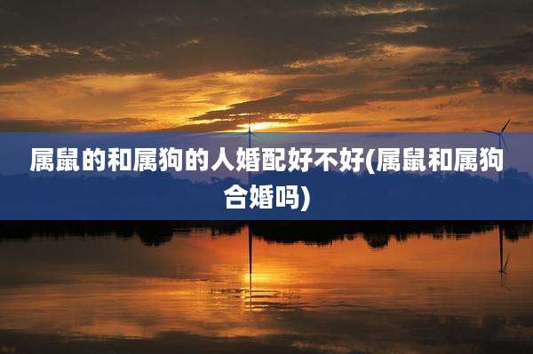 属鼠的和属狗的人婚配好不好(属鼠和属狗合婚吗)