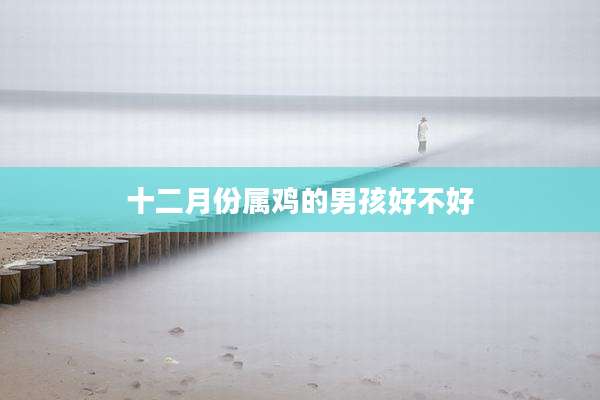 十二月份属鸡的男孩好不好