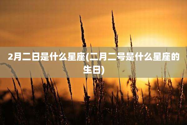 2月二日是什么星座(二月二号是什么星座的生日)