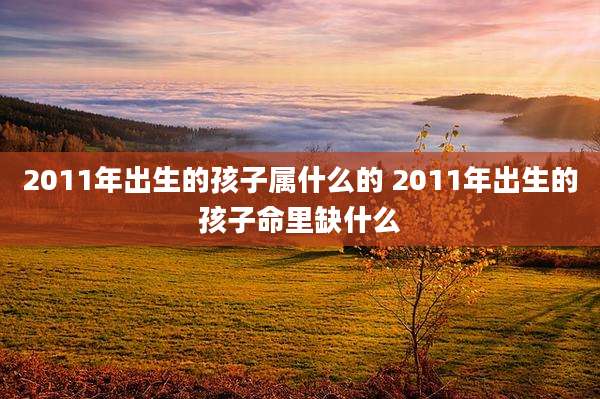 2011年出生的孩子属什么的 2011年出生的孩子命里缺什么