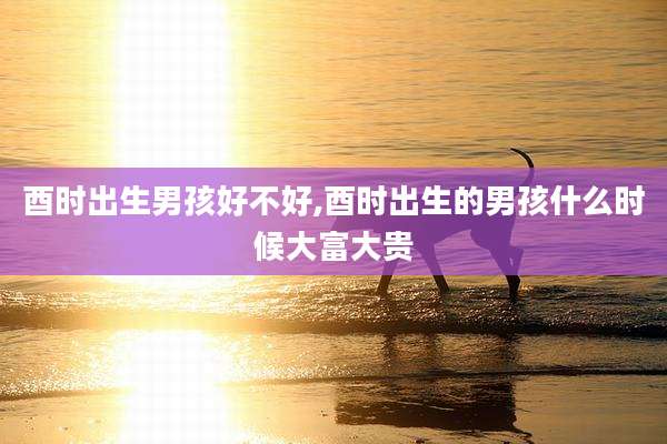酉时出生男孩好不好,酉时出生的男孩什么时候大富大贵