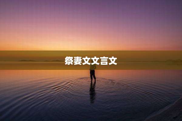 祭妻文文言文