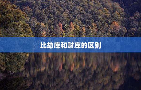 比劫库和财库的区别