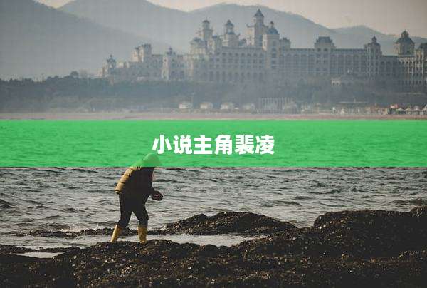 小说主角裴凌