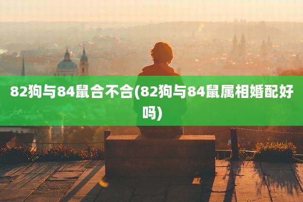 82狗与84鼠合不合(82狗与84鼠属相婚配好吗)