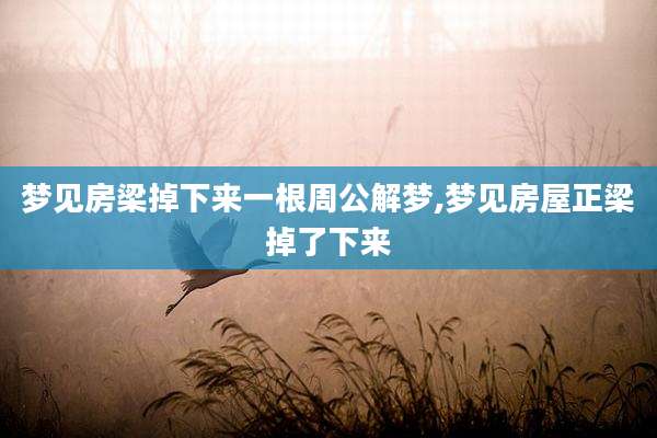 梦见房梁掉下来一根周公解梦,梦见房屋正梁掉了下来