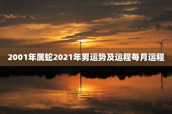 2001年属蛇2021年男运势及运程每月运程