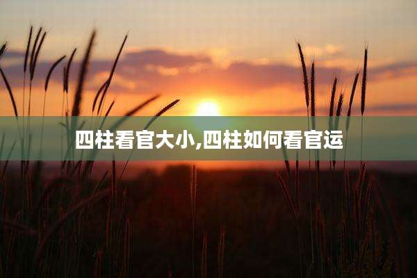 四柱看官大小,四柱如何看官运