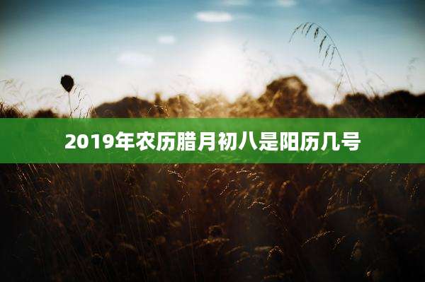 2019年农历腊月初八是阳历几号