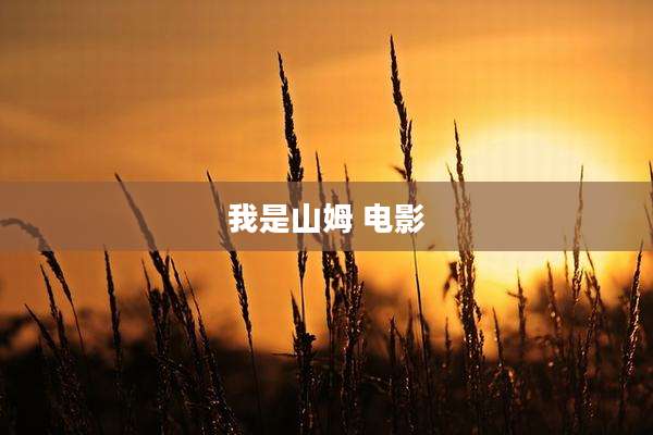 我是山姆 电影