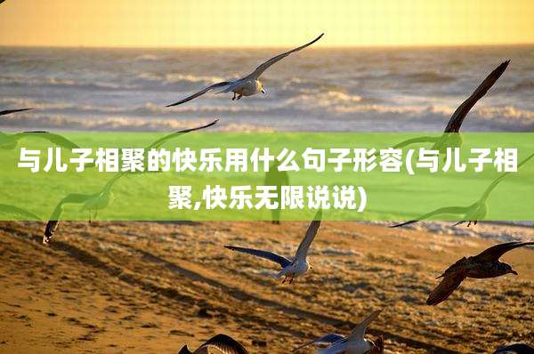 与儿子相聚的快乐用什么句子形容(与儿子相聚,快乐无限说说)