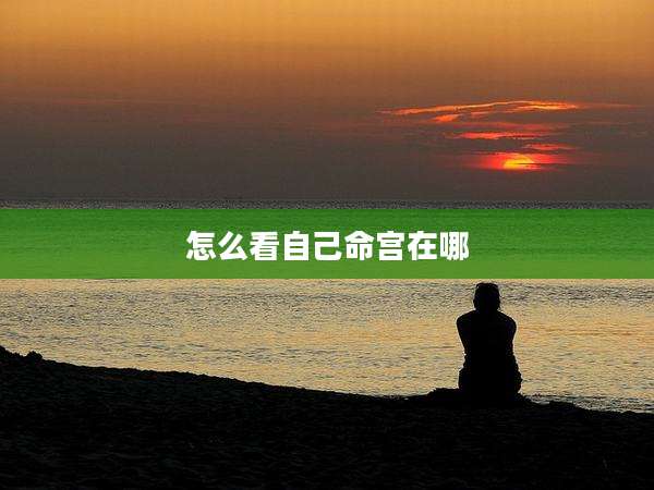 怎么看自己命宫在哪