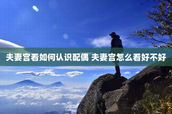 夫妻宫看如何认识配偶 夫妻宫怎么看好不好
