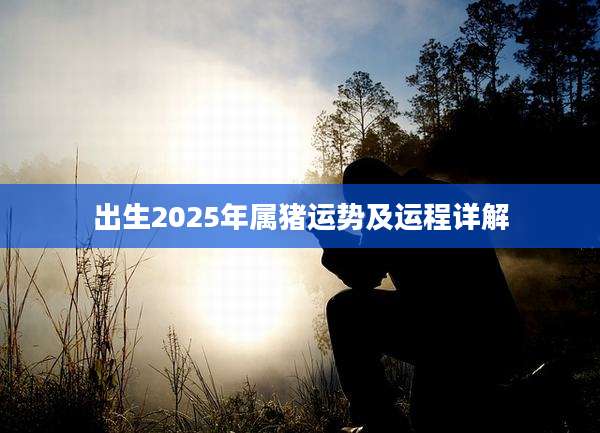 出生2025年属猪运势及运程详解