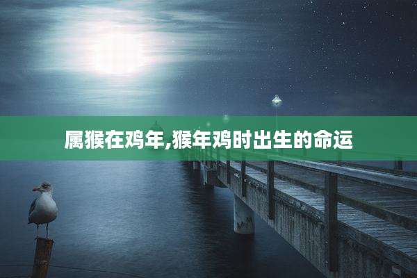 属猴在鸡年,猴年鸡时出生的命运