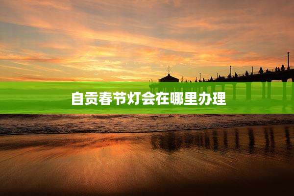 自贡春节灯会在哪里办理