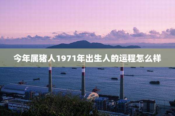 今年属猪人1971年出生人的运程怎么样