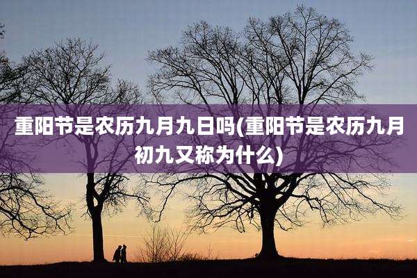 重阳节是农历九月九日吗(重阳节是农历九月初九又称为什么)