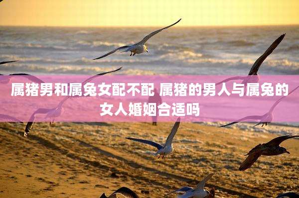 属猪男和属兔女配不配 属猪的男人与属兔的女人婚姻合适吗
