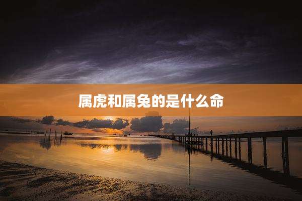 属虎和属兔的是什么命