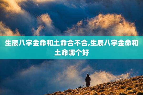 生辰八字金命和土命合不合,生辰八字金命和土命哪个好