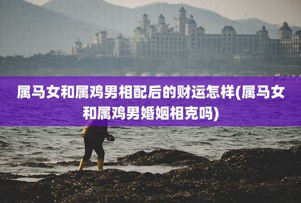 属马女和属鸡男相配后的财运怎样(属马女和属鸡男婚姻相克吗)