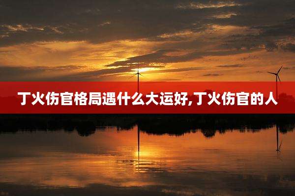 丁火伤官格局遇什么大运好,丁火伤官的人